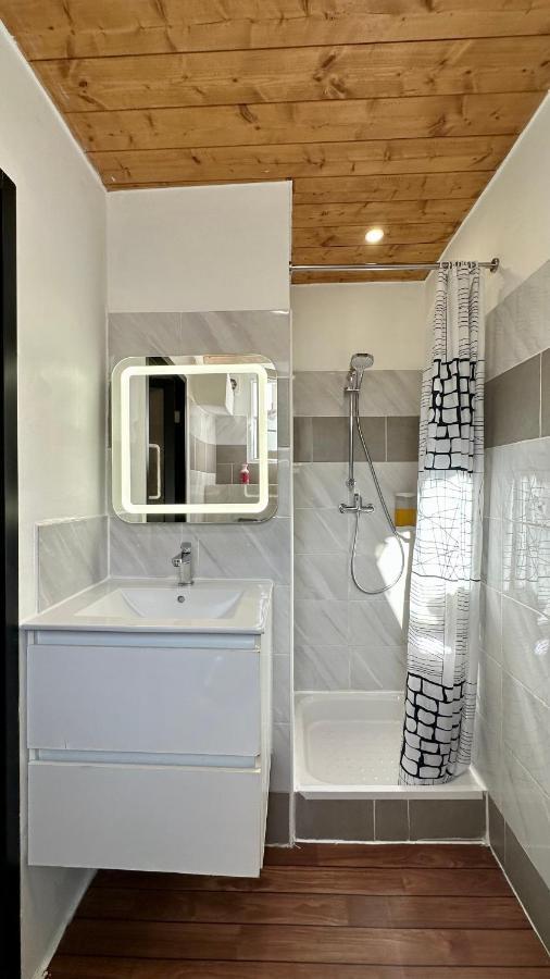 Lion'S Room - 2 Minute Walk From Palais Des Festivals And Beaches Cannes Eksteriør bilde